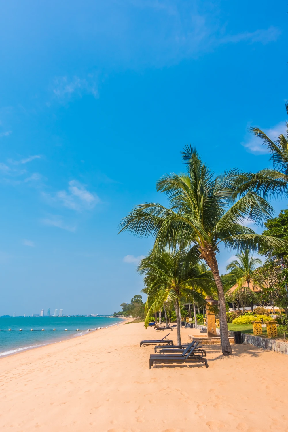 goa_1.webp
