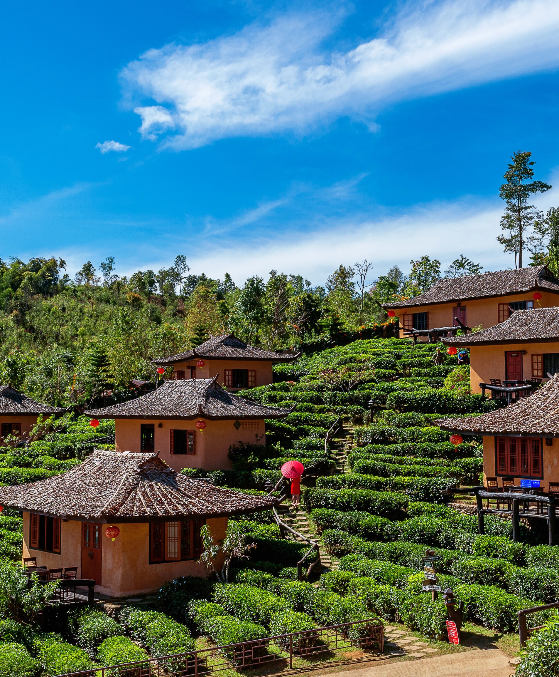 kodaikanal.webp